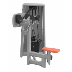 Дельтовидная машина Gym80 Sygnum Standards 3050
