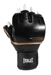 Перчатки тренировочные Everlast Titan Grappling LXL черный
