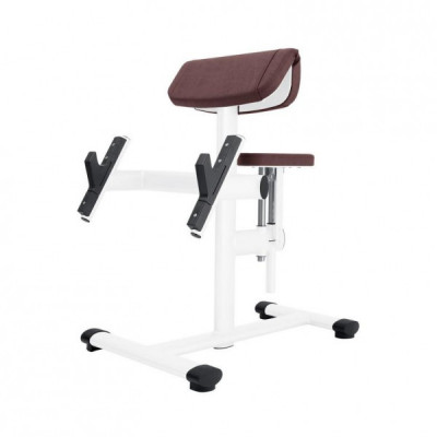 Скамья Скотта Gym 80 Sygnum Basic 4093