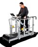 Беговая дорожка Spirit LW1000