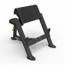 Скамья Скотта Spirit SP-4206 Скамья Скотта Spirit SP-4206