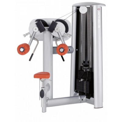 Дельтовидная машина Gym80 Sygnum Standards 3015