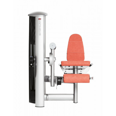 Разгибание ног сидя Gym80 Sygnum Standards 3001