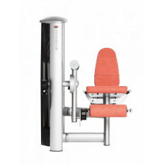 Разгибание ног сидя Gym80 Sygnum Standards 3001