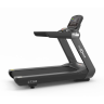 Профессиональная Беговая дорожка CardioPower PRO CT300