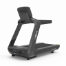 Профессиональная Беговая дорожка CardioPower PRO CT300