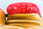 UFC PRO Thai Naga Перчатки для бокса Red,14 унций