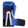 Перчатки тренировочные Everlast PU Pro Style Anti-MB 10oz синие