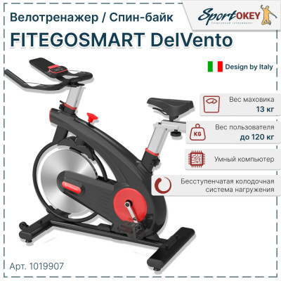 Велотренажер FITEGOSMART DelVento