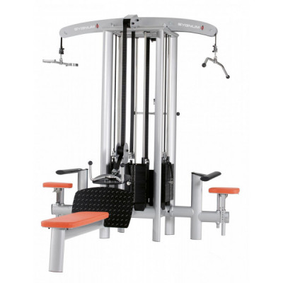 Мультистанция 4-х позиционная Gym80 Sygnum Standards 4032