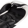 Боксерские перчатки Venum Challenger 3.0 14oz белый, черный