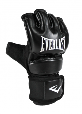 Перчатки тренировочные Everlast Core Everstrike L черный